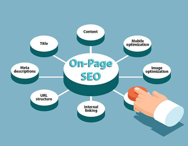 Professional On-Page SEO Services